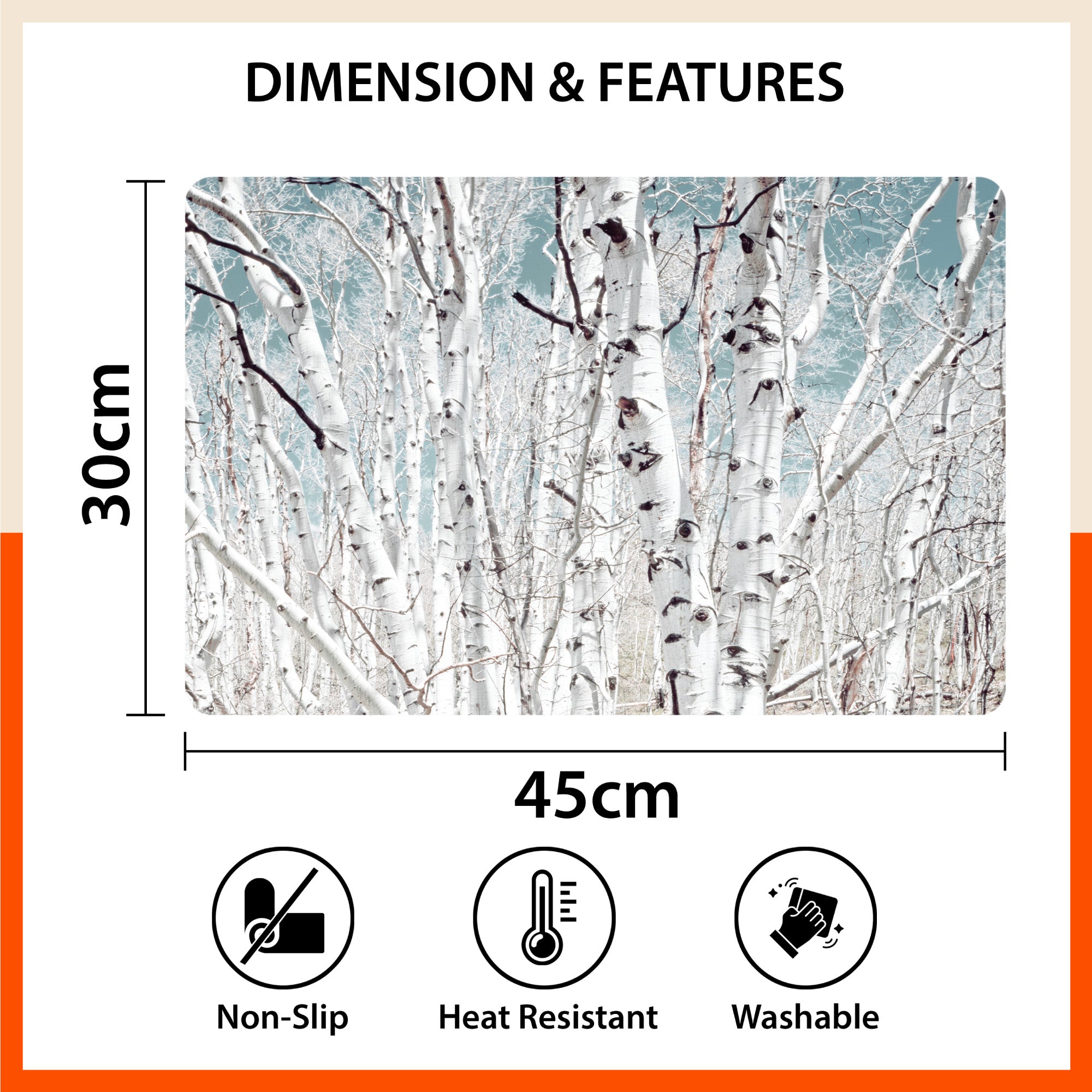 Polypropylene Table Mats & Coasters for Dining Table at Home (BIRCH - Set of 6)