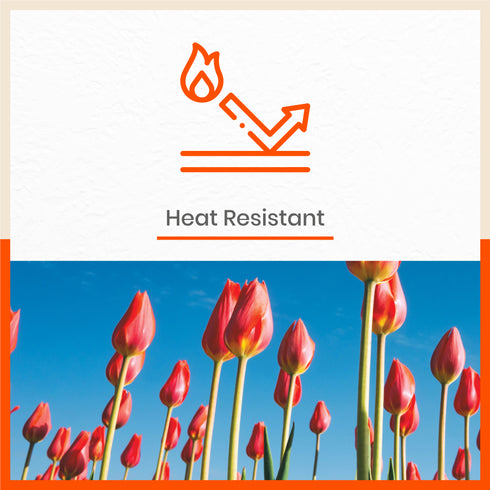 Polypropylene Table Mats & Coasters for Dining Table at Home (Tulipa - Set of 6)