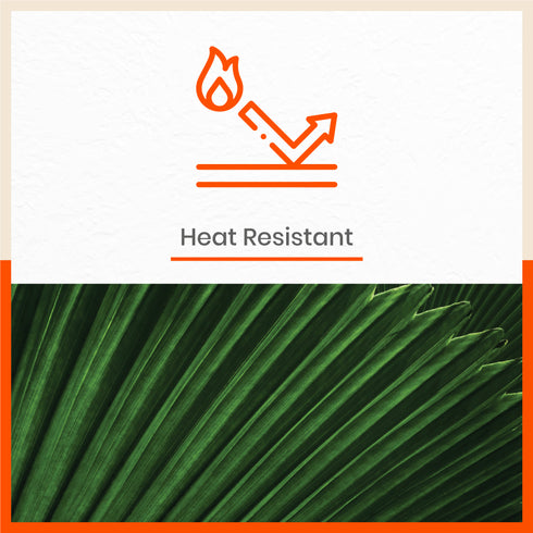 Polypropylene Table Mats & Coasters for Dining Table at Home (Licuala - Set of 6)