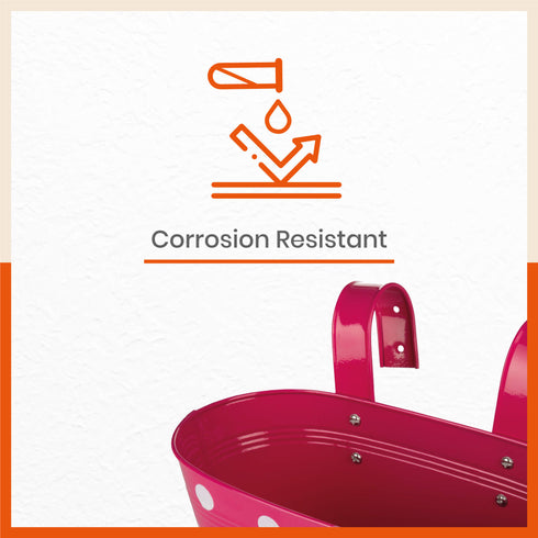 ARA Hanging Metal Pot Holders for Balcony / Garden | Set of 5 (Multicolour)