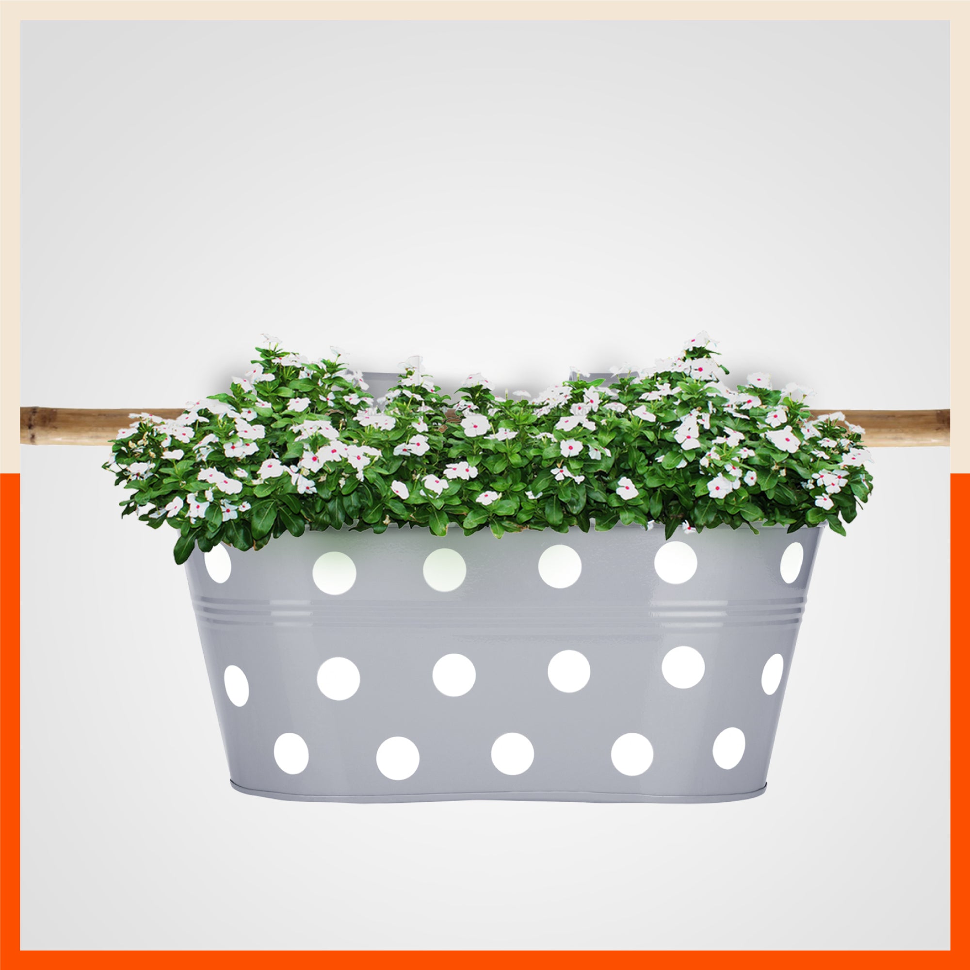 ARA Hanging Metal Pot Holders / Planters for Home / Balcony / Garden | Ash