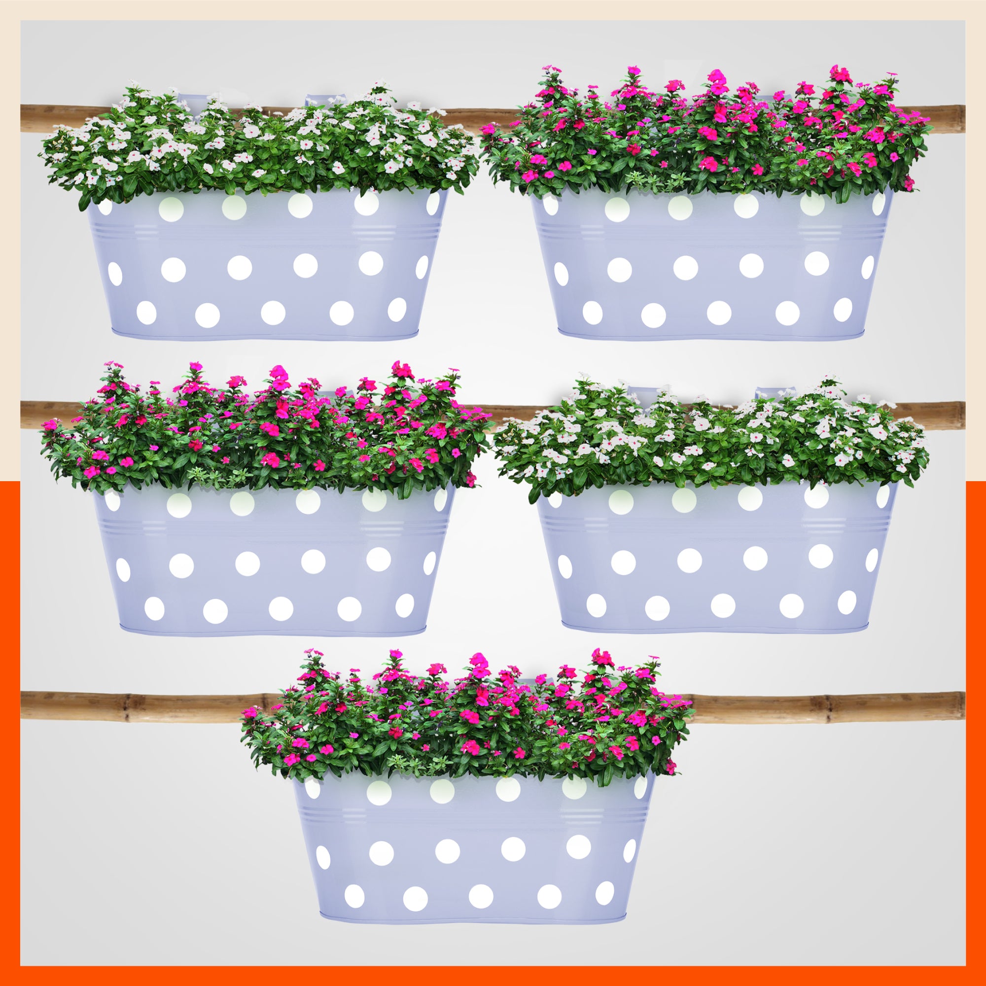 ARA Hanging Metal Pot Holders / Planters for Home / Balcony / Garden | Baby Blue - Set of 5