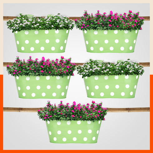 ARA Hanging Metal Pot Holders / Planters for Home / Balcony / Garden | Grass - Set of 5
