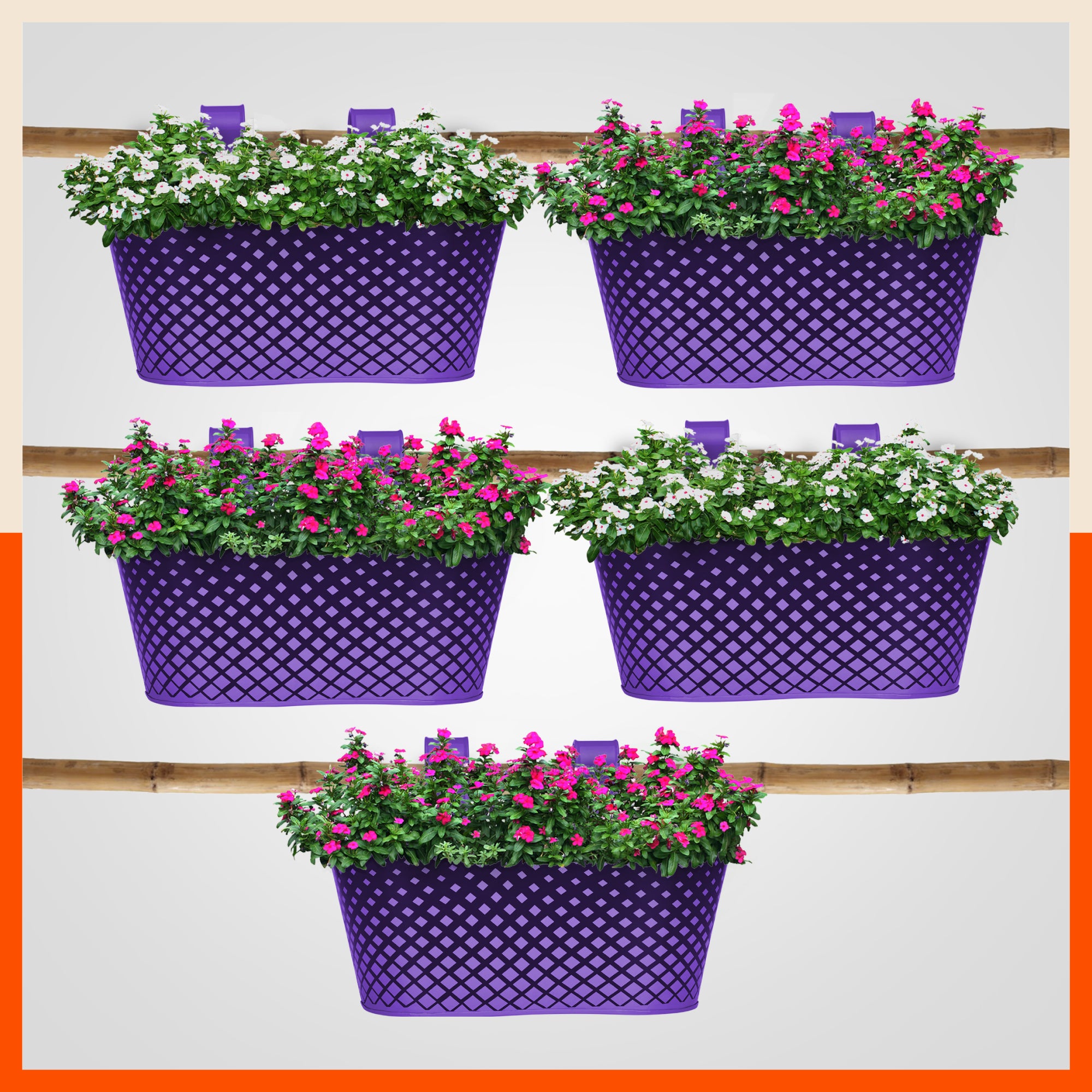 DIA Hanging Metal Pot Holders / Planters for Home / Balcony / Garden | Purple - Set of 5
