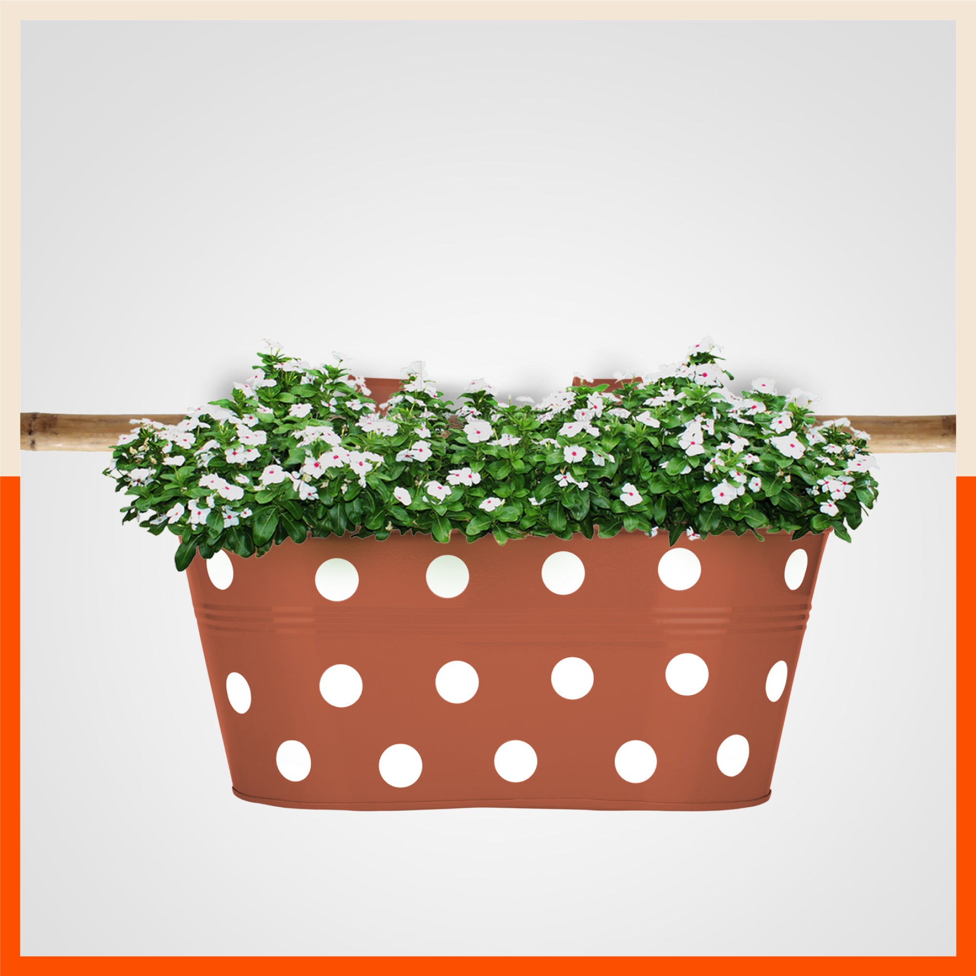 ARA Hanging Metal Pot Holders / Planters for Balcony / Garden | Terra