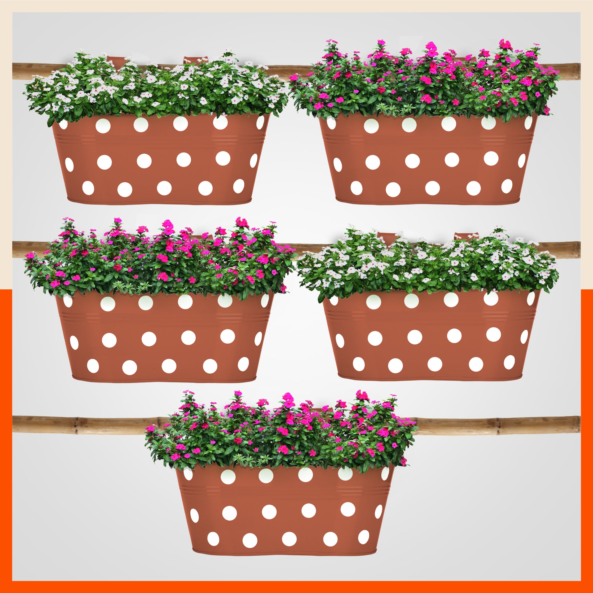 ARA Hanging Metal Pot Holders / Planters for Balcony / Garden | Terra - Set of 5