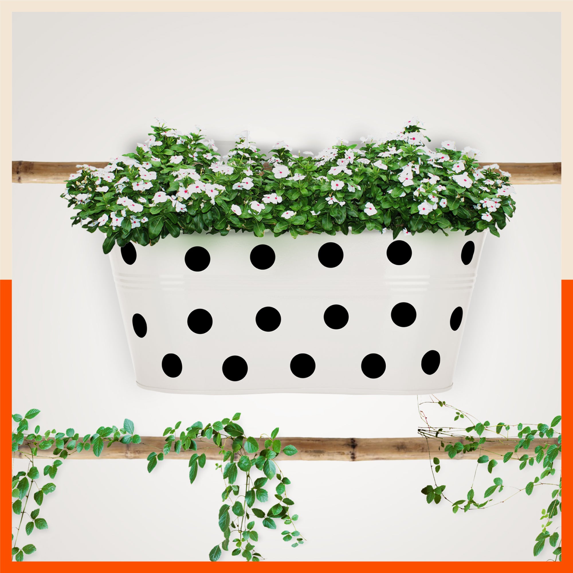 ARA Hanging Metal Pot Holders / Planters for Balcony / Garden | White