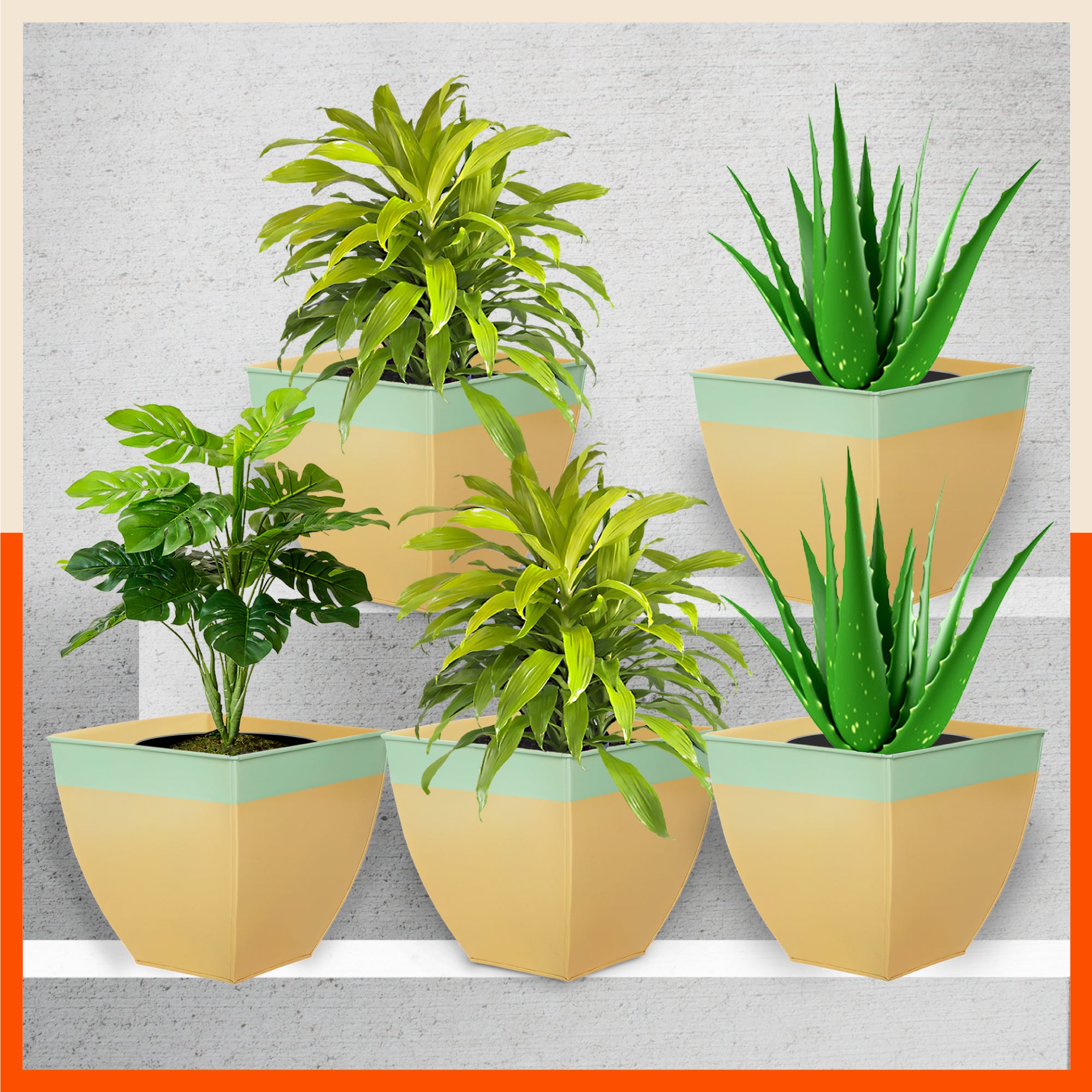 MYLA Metal Square Planters / Pots for Home / Garden / Balcony | Medium – Mynt & Tea - Set of 5
