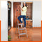 Bathla Surge 3-Step Foldable Aluminium Ladder For Home
