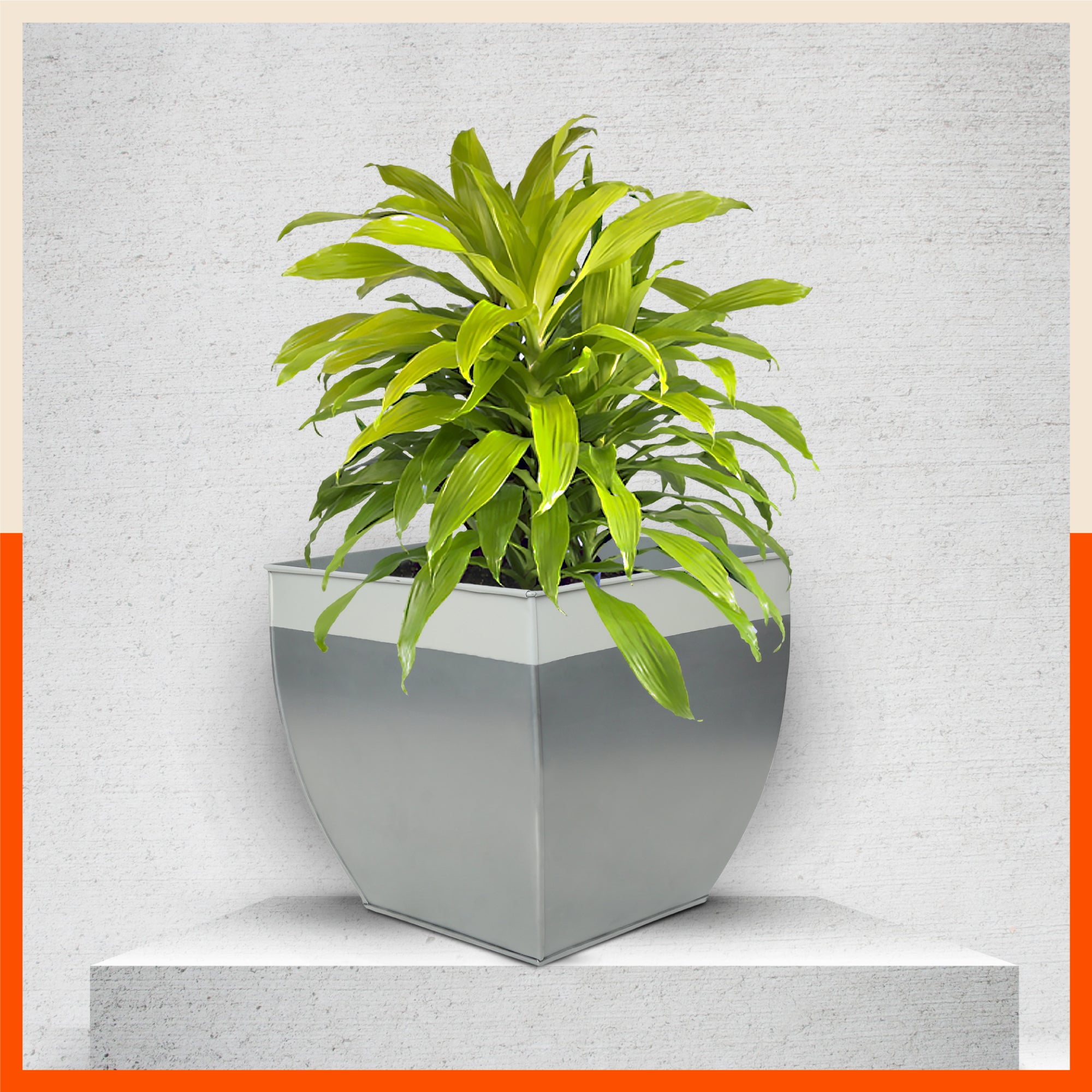 MYLA Metal Square Planters / Pots for Home / Garden / Balcony | Large – Ash Grey & White