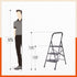 Bathla Boost 3 - Step Foldable Steel Ladder For Home