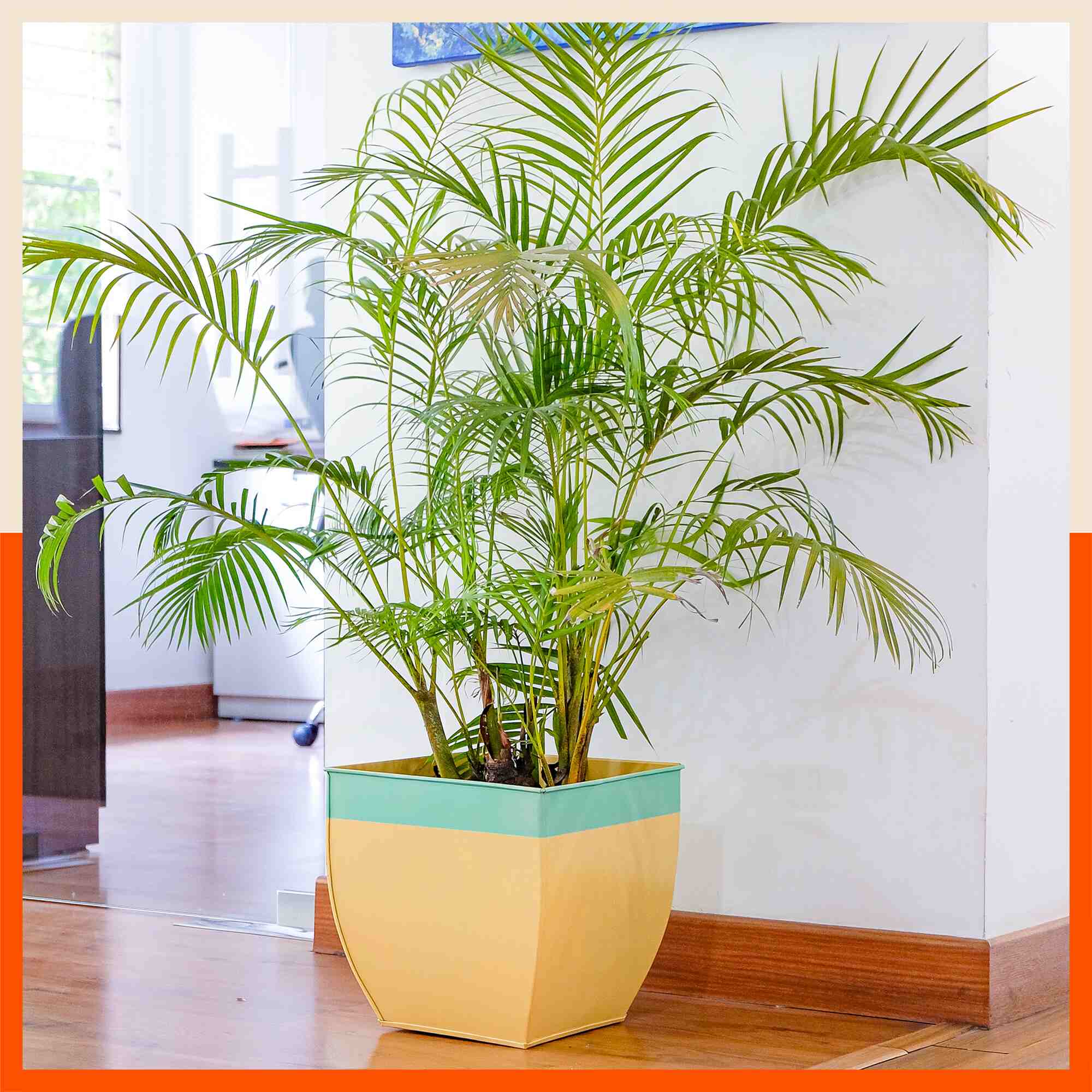 MYLA Metal Square Planters / Pots for Garden / Balcony | Medium – Tree & Lawn