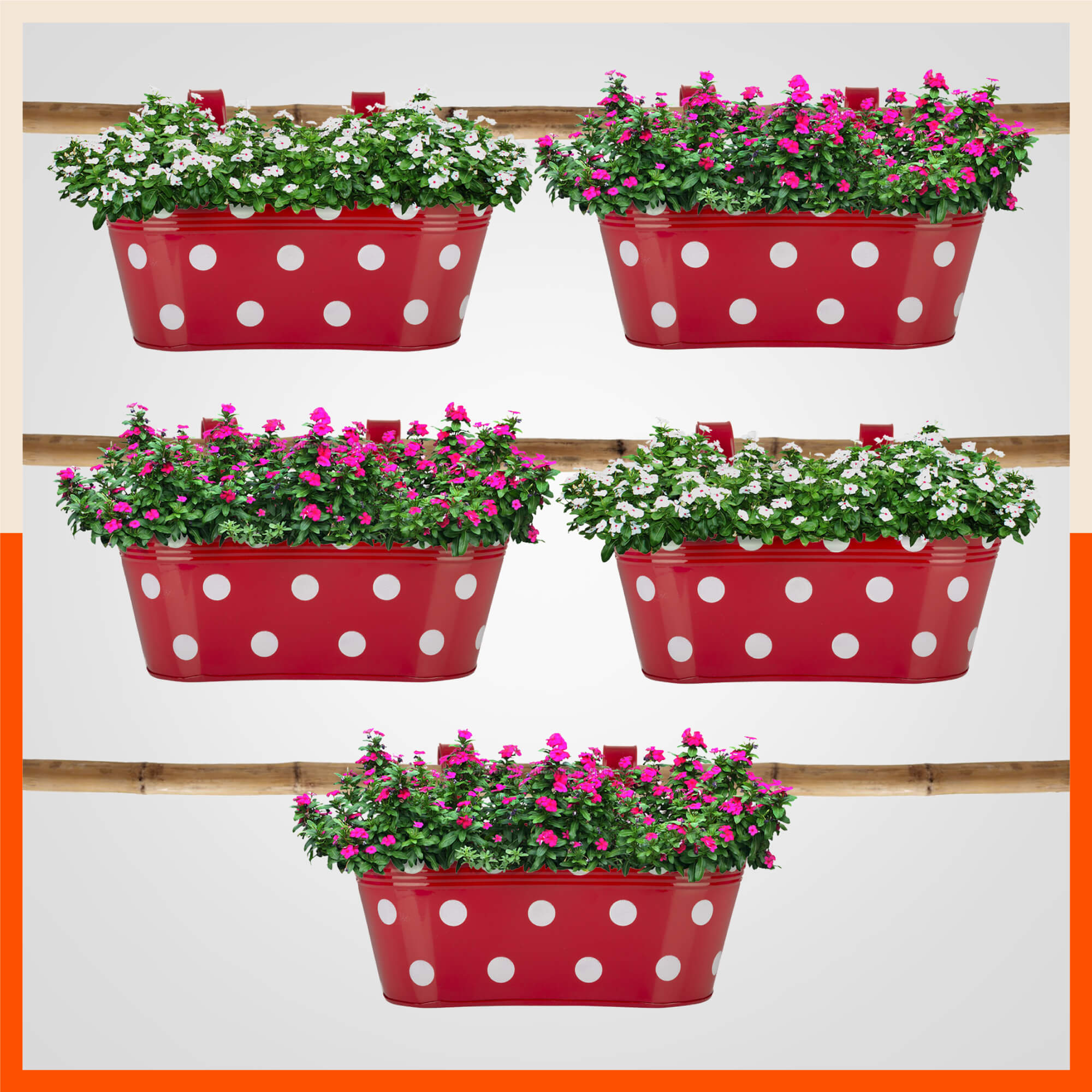 ARA Hanging Metal Pot Holders / Planters for Home / Balcony / Garden | Set of 5 - Red
