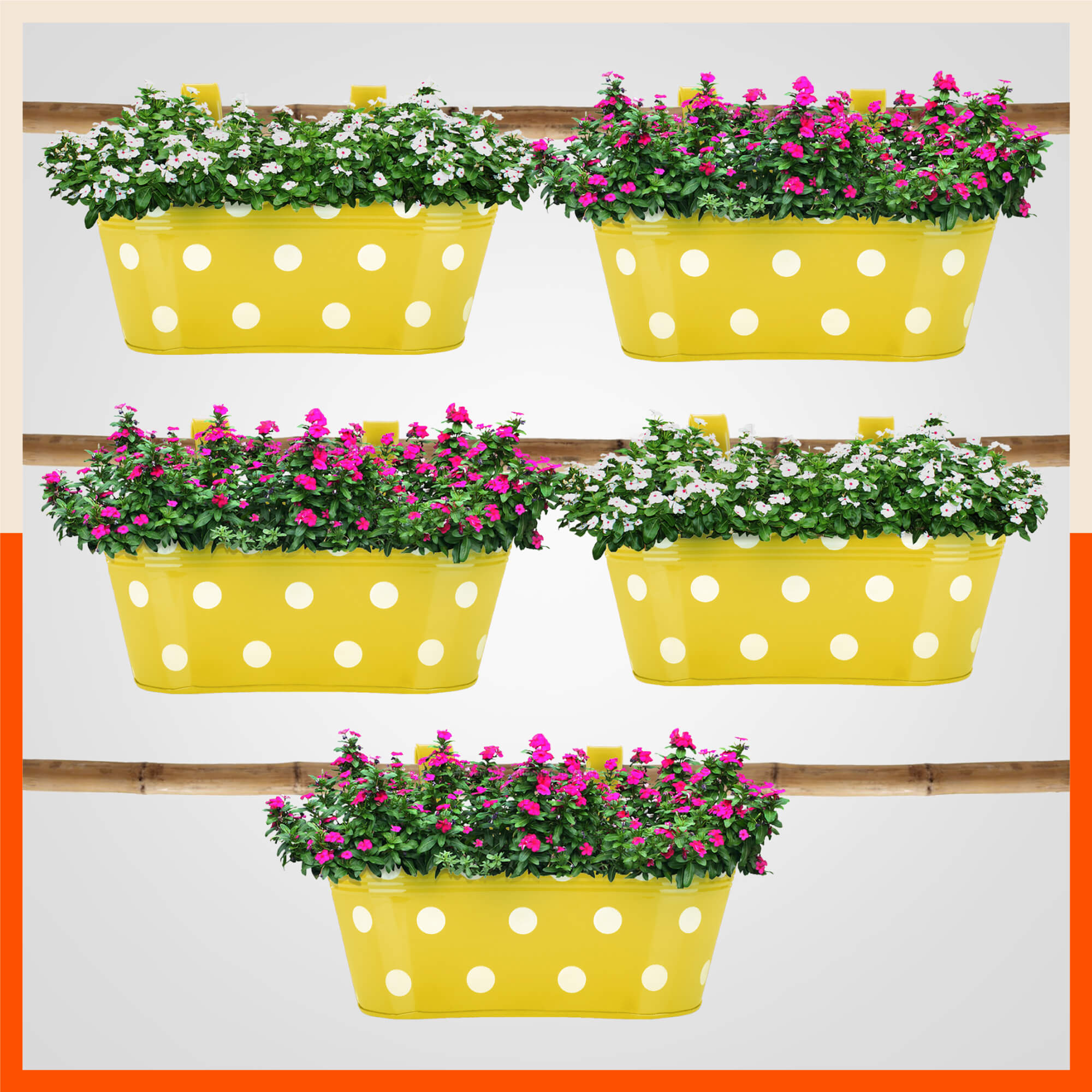ARA Hanging Metal Pot Holders / Planters for Home / Balcony / Garden | Set of 5 - Yellow