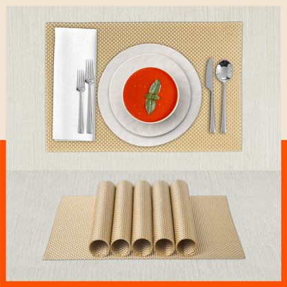 Woven PVC Table Mats / Placemats for Dining Table at Home (ALMA Set of 6)