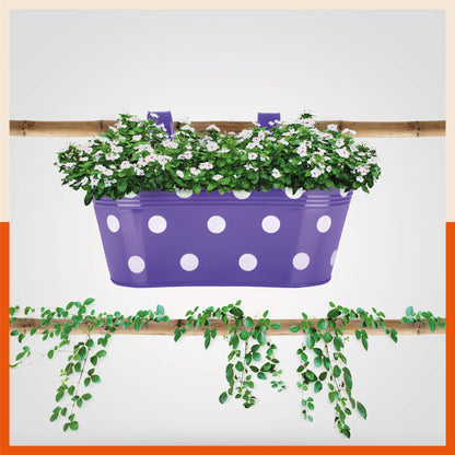 ARA Hanging Metal Pot Holders / Planters for Home / Balcony / Garden | Purple