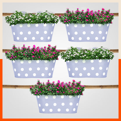ARA Hanging Metal Pot Holders / Planters for Home / Balcony / Garden | Baby Blue - Set of 5