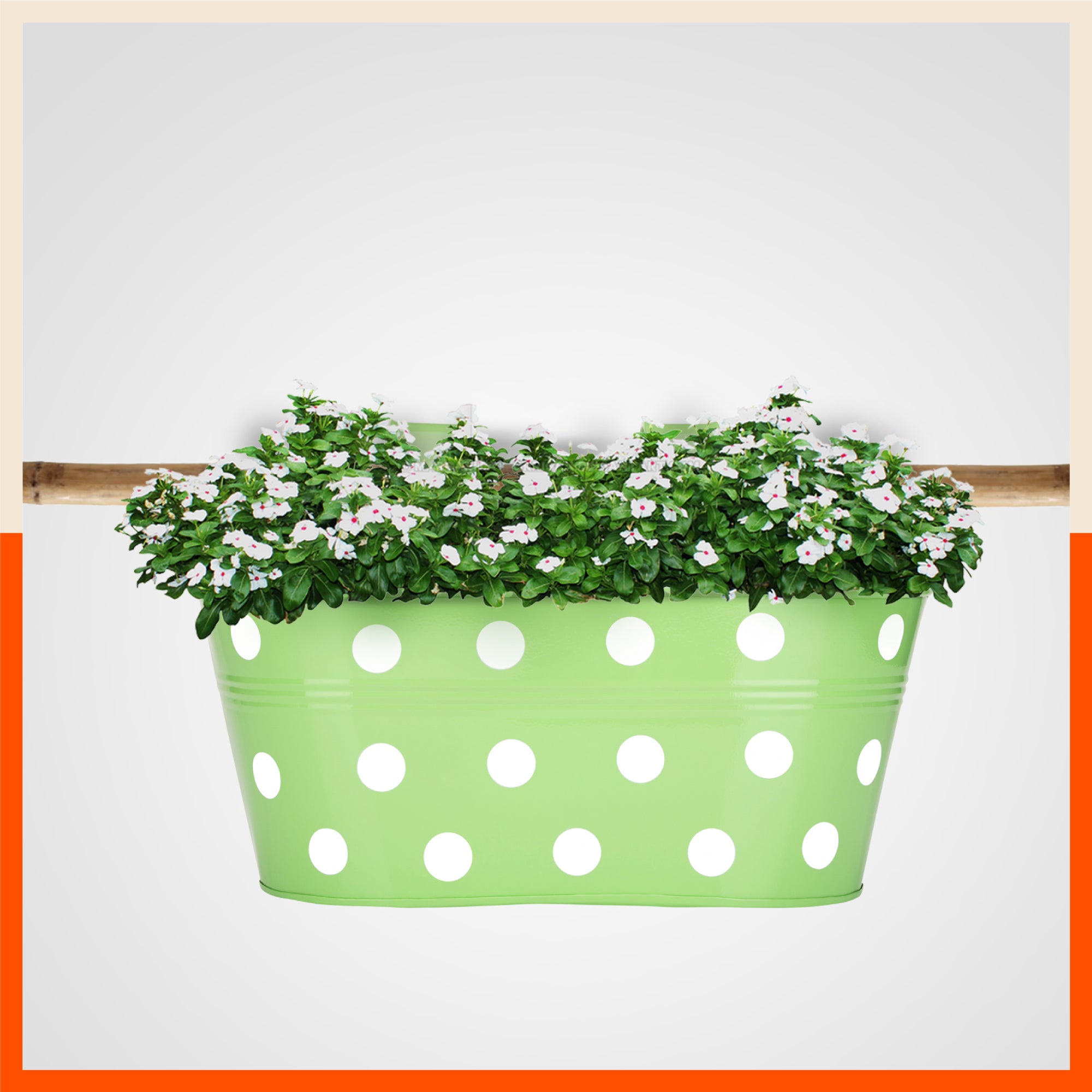 ARA Hanging Metal Pot Holders / Planters for Home / Balcony / Garden | Grass