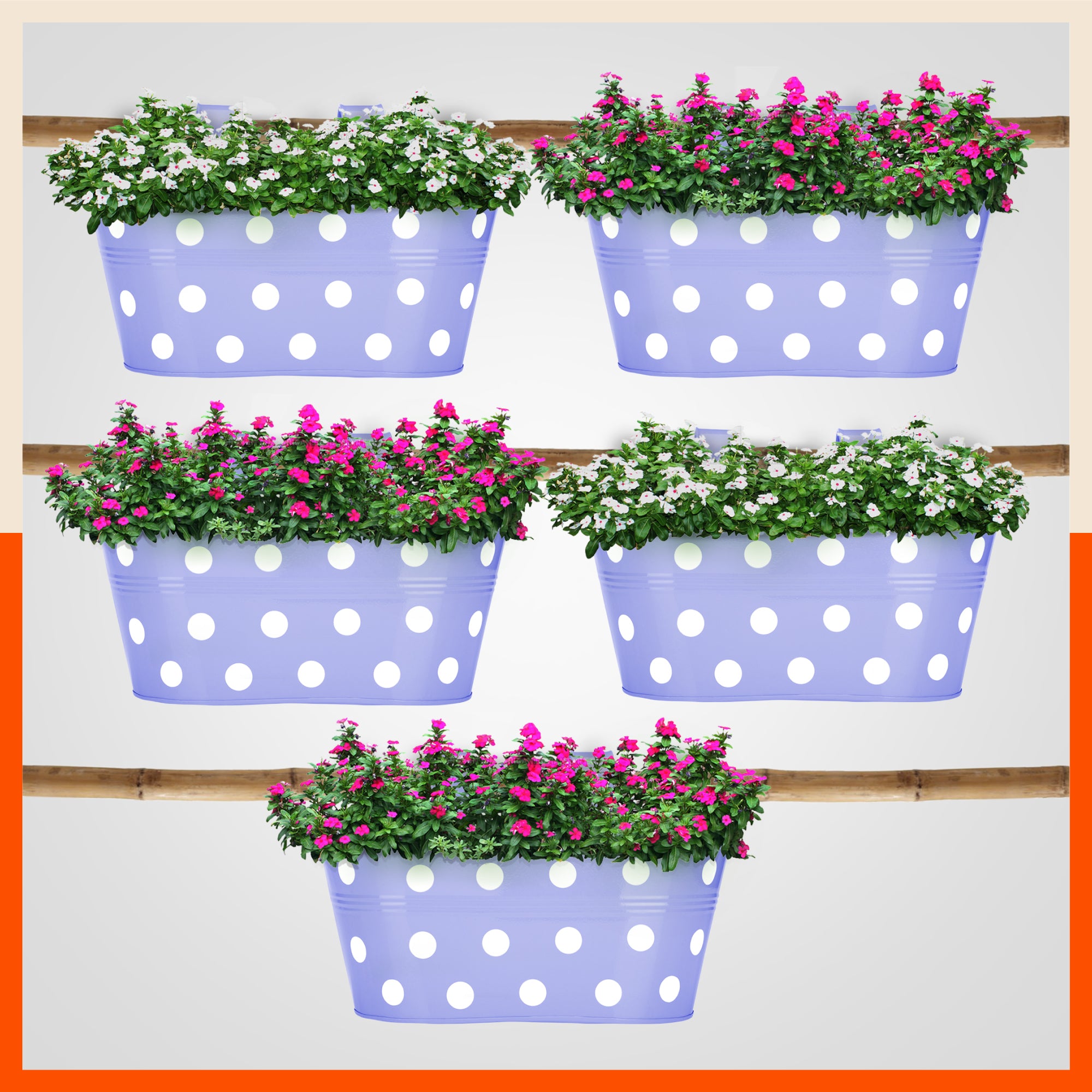 ARA Hanging Metal Pot Holders / Planters for Home / Balcony / Garden | Lavender - Set of 5