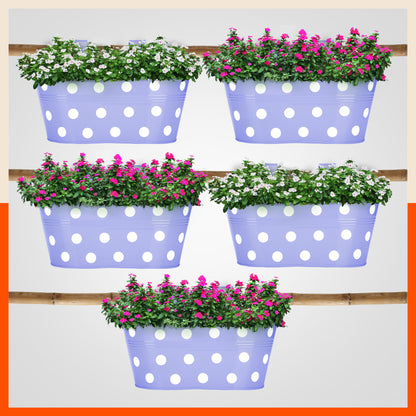 ARA Hanging Metal Pot Holders / Planters for Home / Balcony / Garden | Lavender - Set of 5