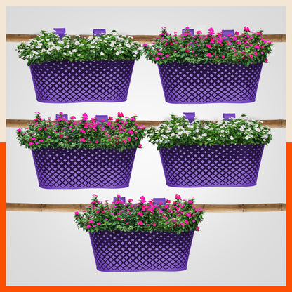 DIA Hanging Metal Pot Holders / Planters for Home / Balcony / Garden | Purple - Set of 5