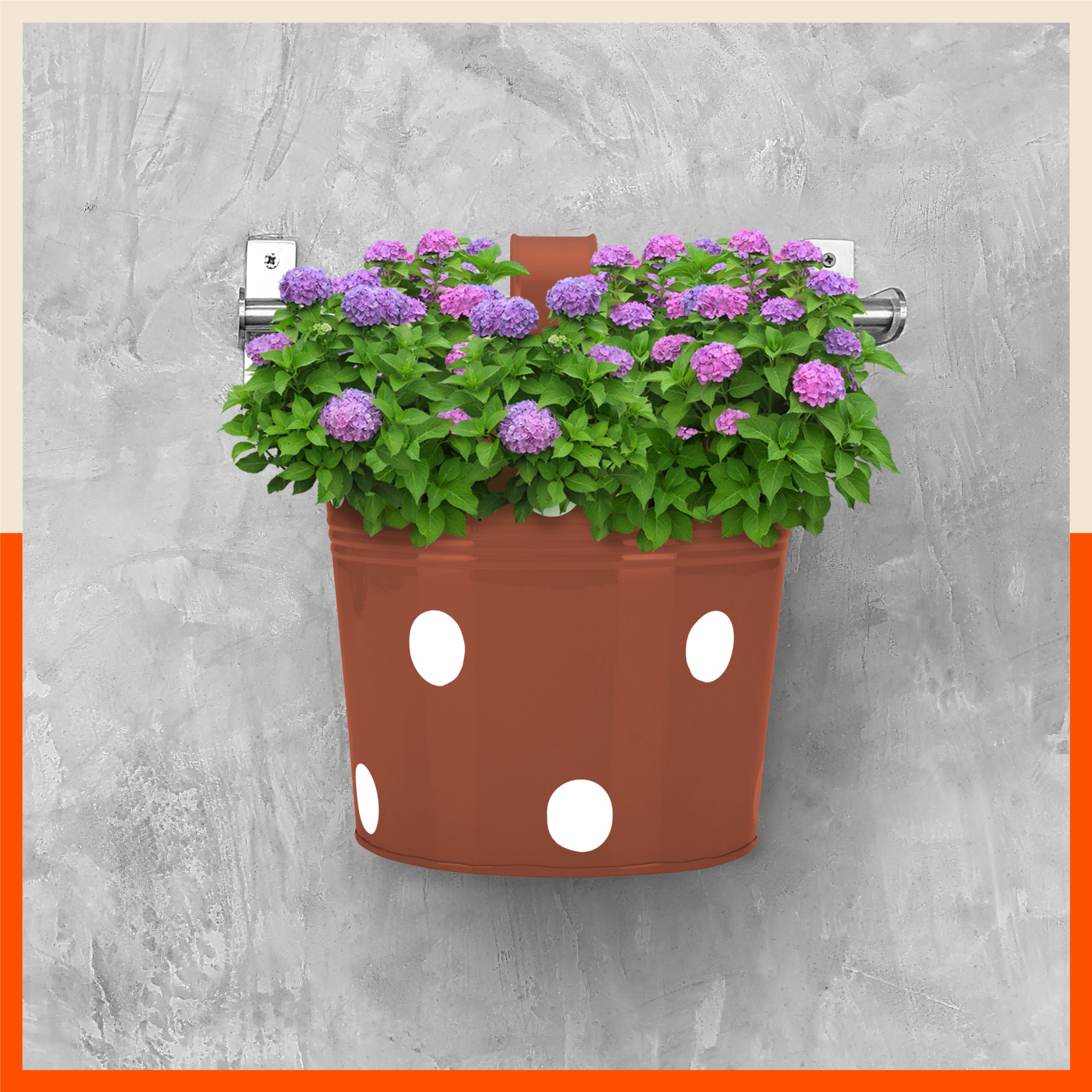 RUI Hanging Metal Pot Holders / Planters for Home / Balcony / Garden | Terra