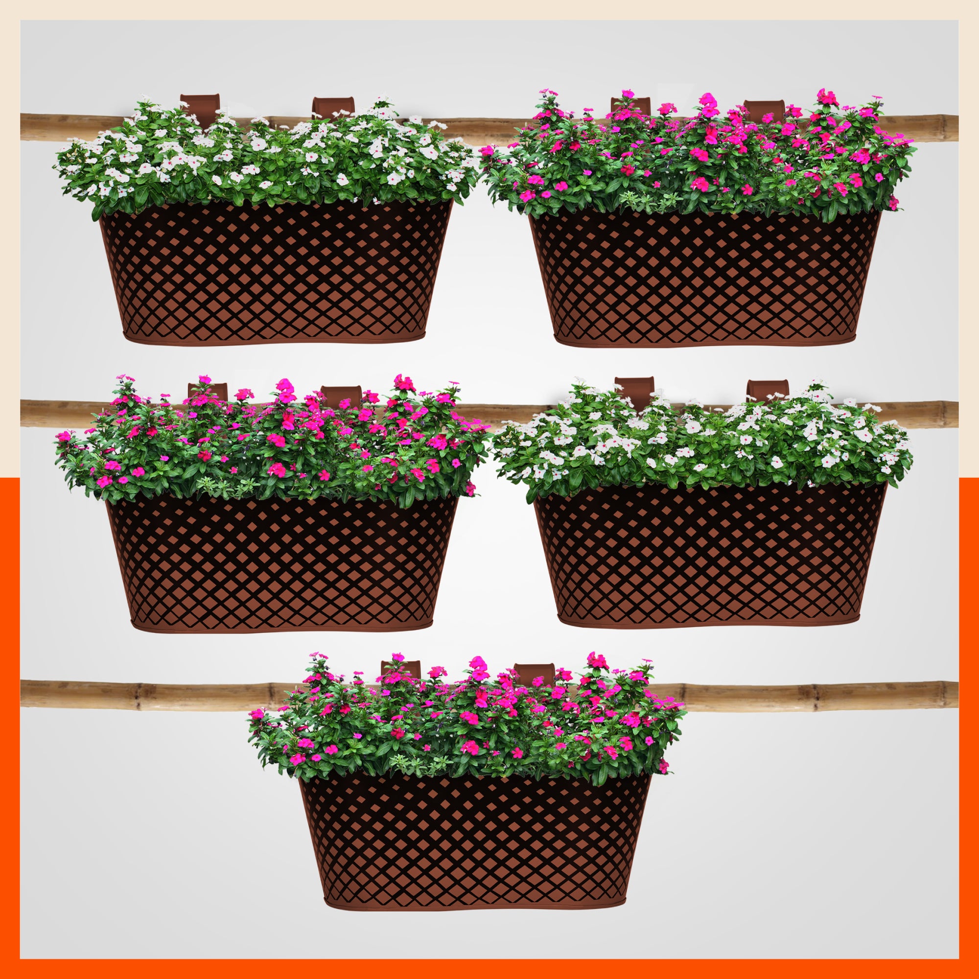 DIA Hanging Metal Pot Holders / Planters for Home / Balcony / Garden | Terra - Set of 5
