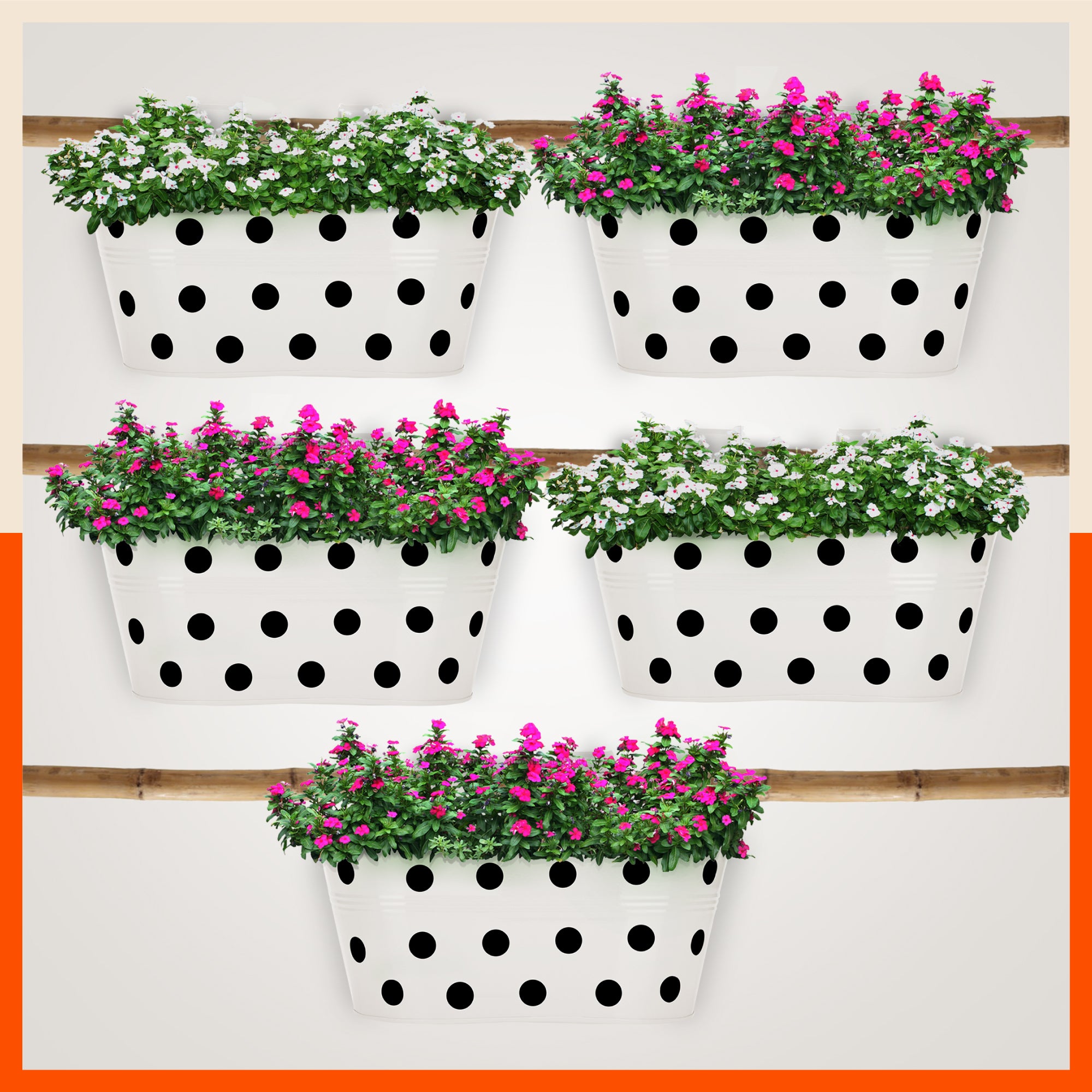 ARA Hanging Metal Pot Holders / Planters for Balcony / Garden | White - Set of 5