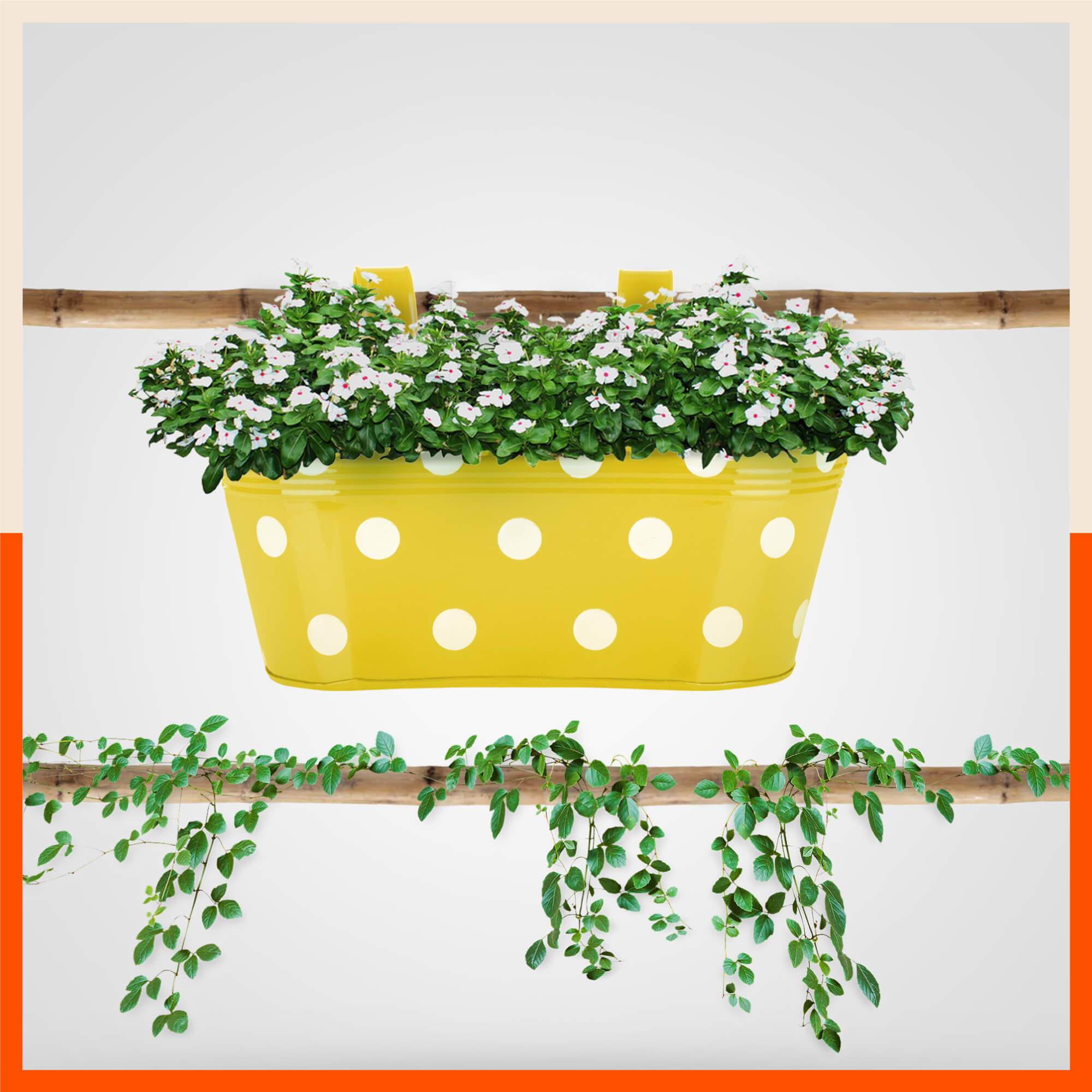 ARA Hanging Metal Pot Holders / Planters for Balcony / Garden | Yellow