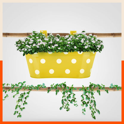 ARA Hanging Metal Pot Holders / Planters for Balcony / Garden | Yellow