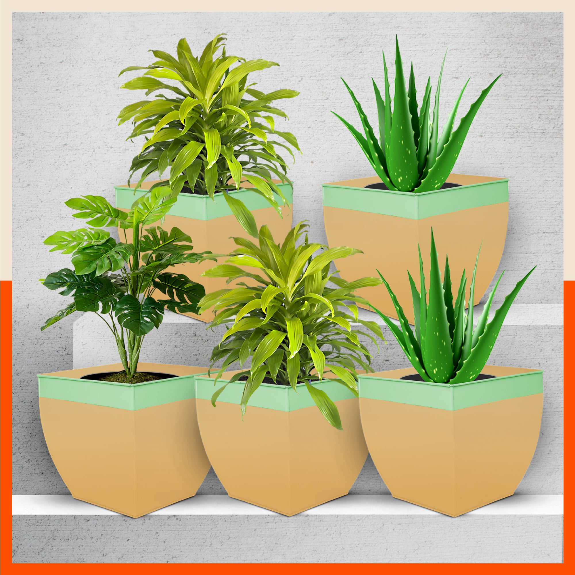 MYLA Metal Square Planters / Pots for Home / Garden /  Balcony | Large – Mynt & Tea - Set of 5