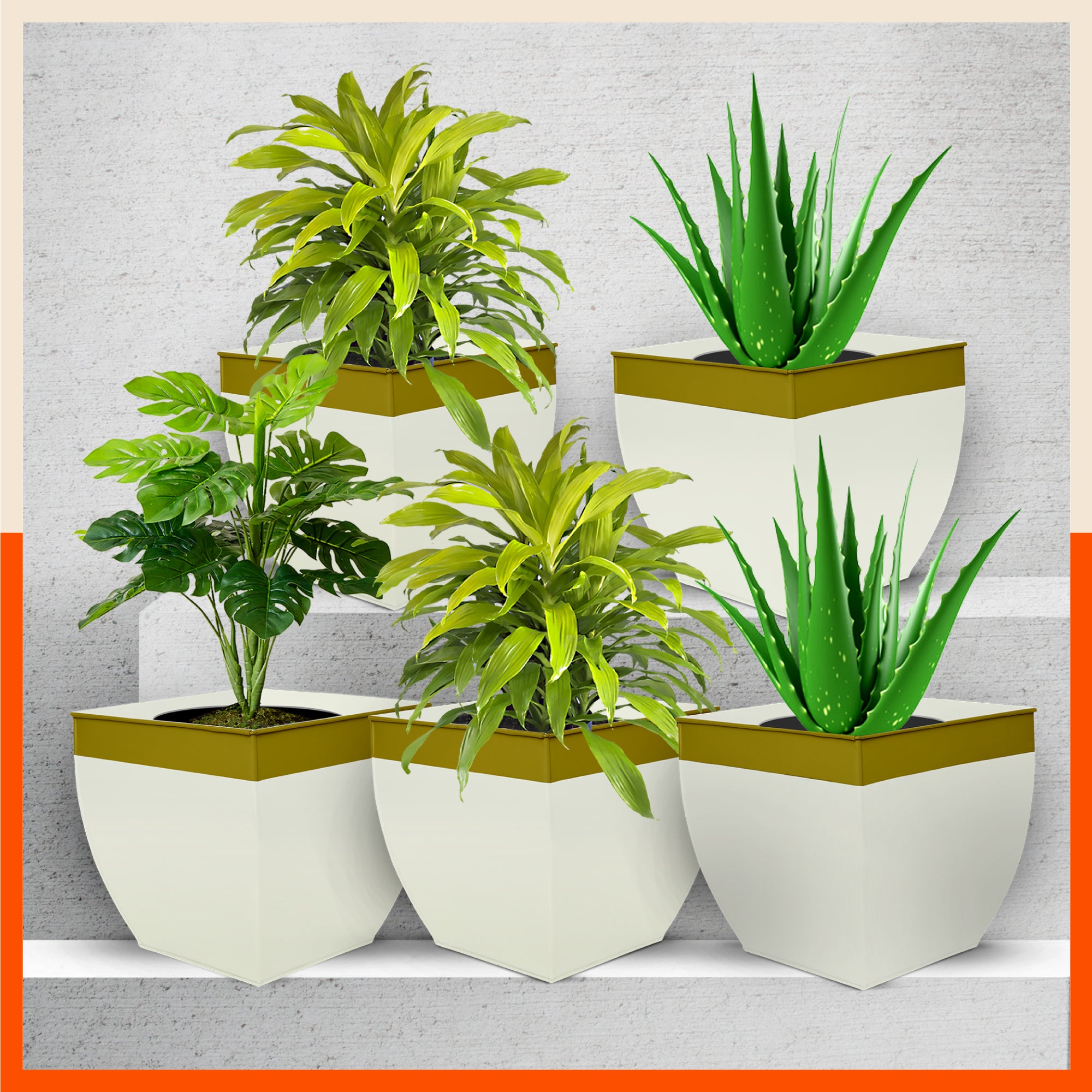 MYLA Metal Square Planters / Pots for Home / Garden /  Balcony | Large – White & Bronze - Set of 5
