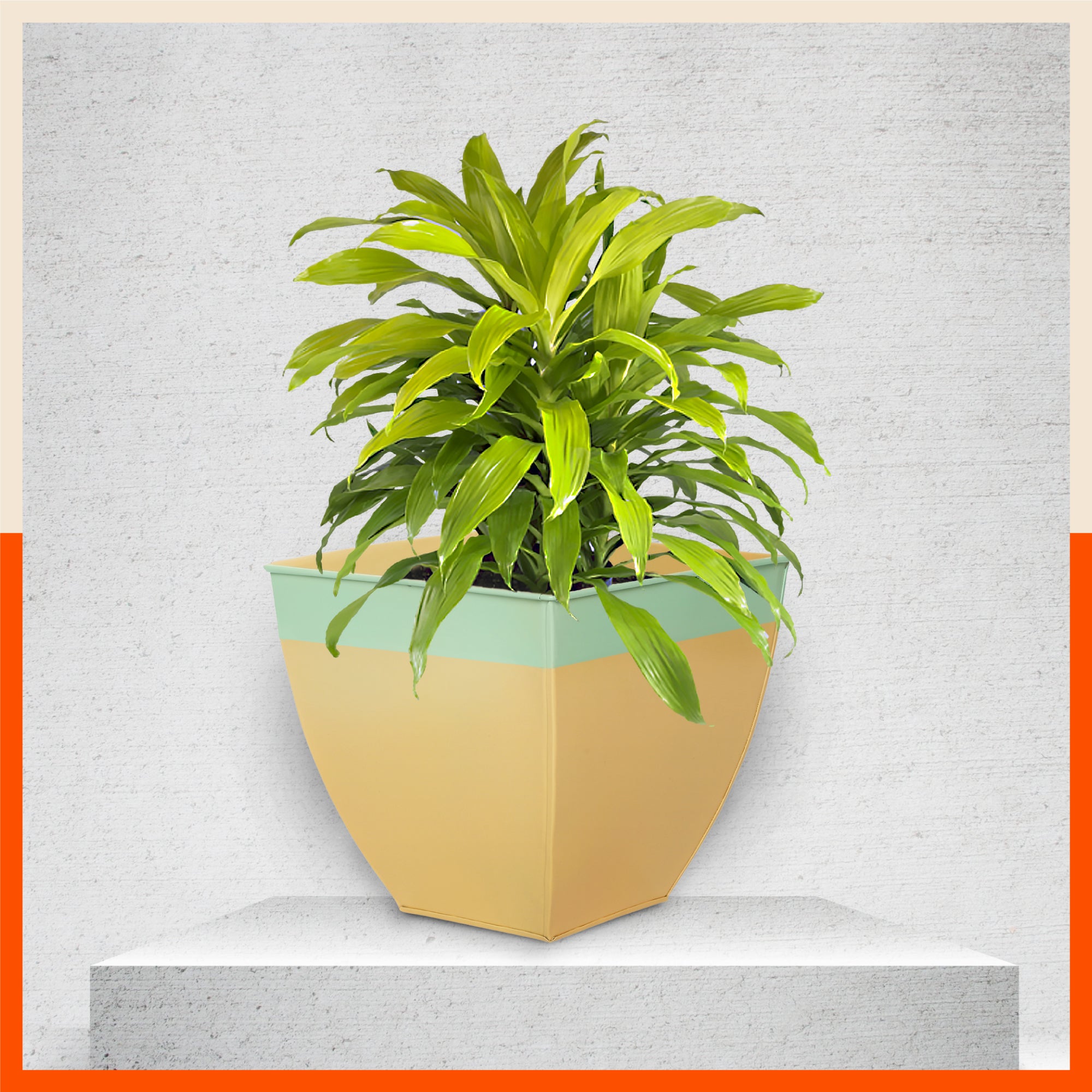 MYLA Metal Square Planters / Pots for Home / Garden /  Balcony | Medium – Mynt & Tea