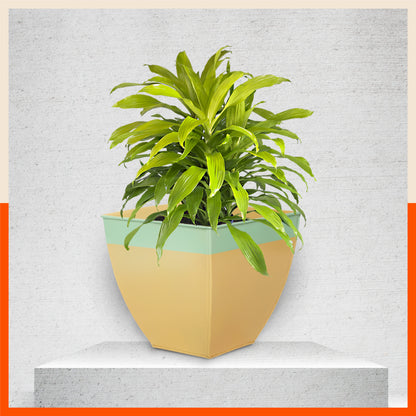 MYLA Metal Square Planters / Pots for Home / Garden /  Balcony | Medium – Mynt & Tea