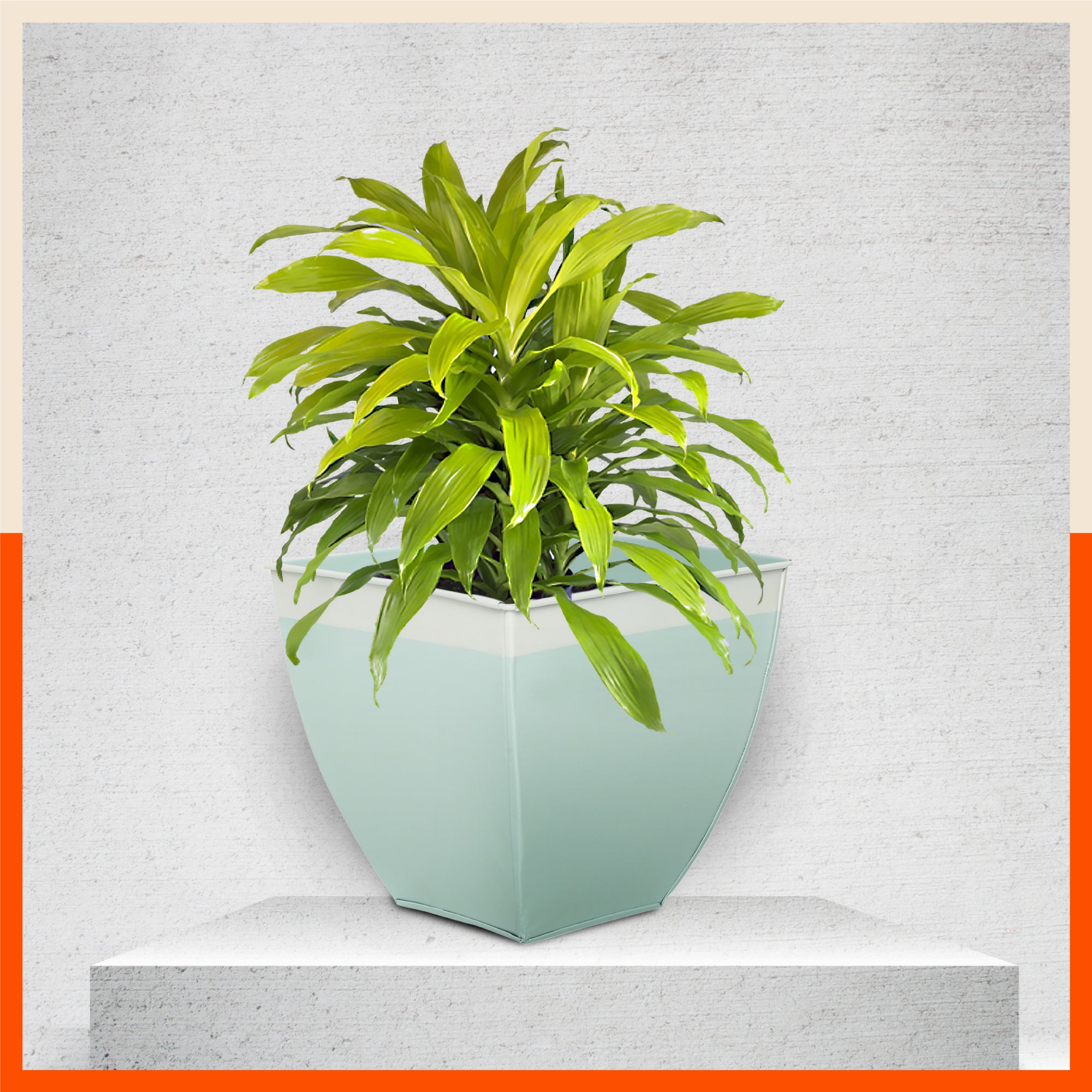 MYLA Metal Square Planters / Pots for Home / Garden /  Balcony | Medium – Blue & White