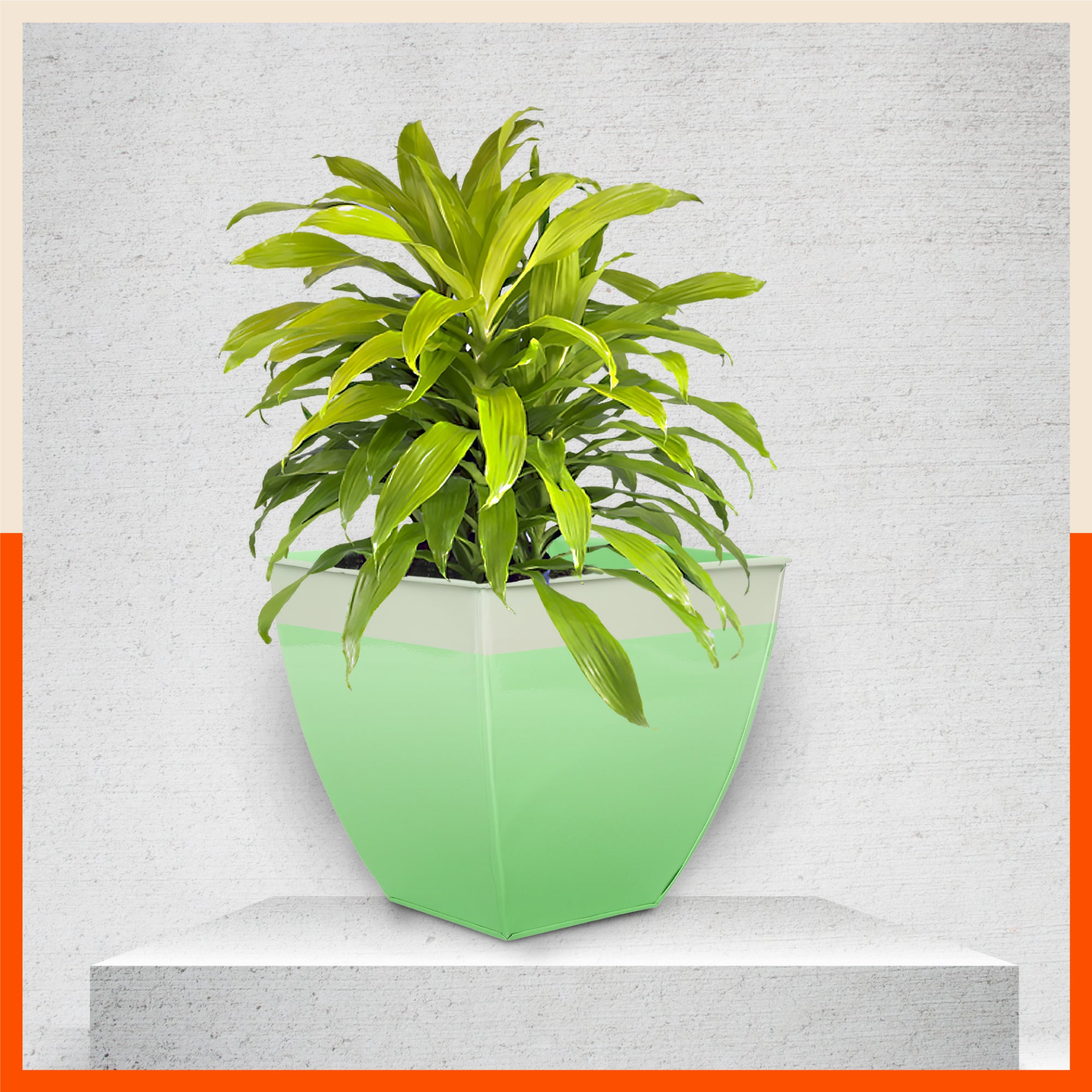 MYLA Metal Square Planters / Pots for Home / Garden /  Balcony | Medium – Grass & White