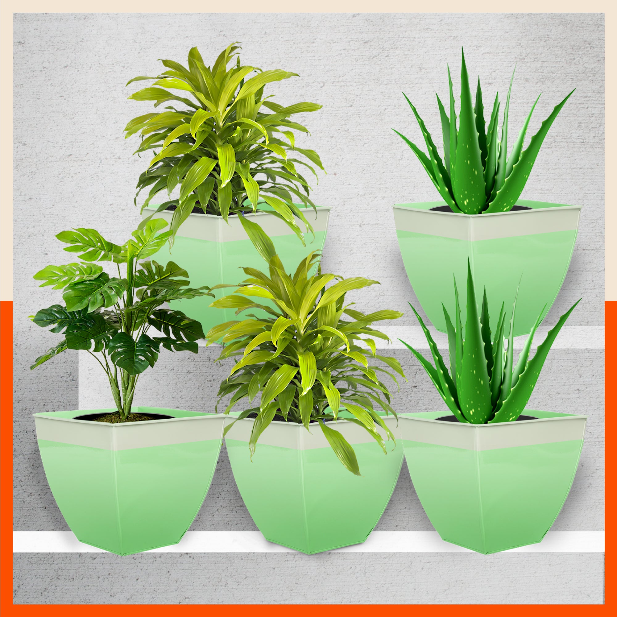 MYLA Metal Square Planters / Pots for Home / Garden /  Balcony | Medium – Grass & White - Set of 5