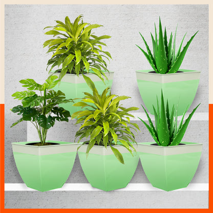 MYLA Metal Square Planters / Pots for Home / Garden /  Balcony | Medium – Grass & White - Set of 5