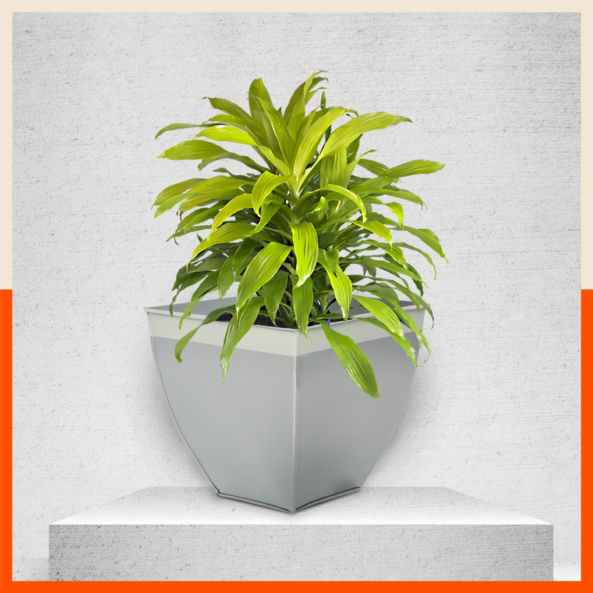 MYLA Metal Square Planters / Pots for Home / Garden /  Balcony | Medium – Ash Grey & White