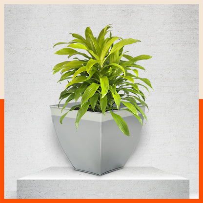MYLA Metal Square Planters / Pots for Home / Garden /  Balcony | Medium – Ash Grey & White