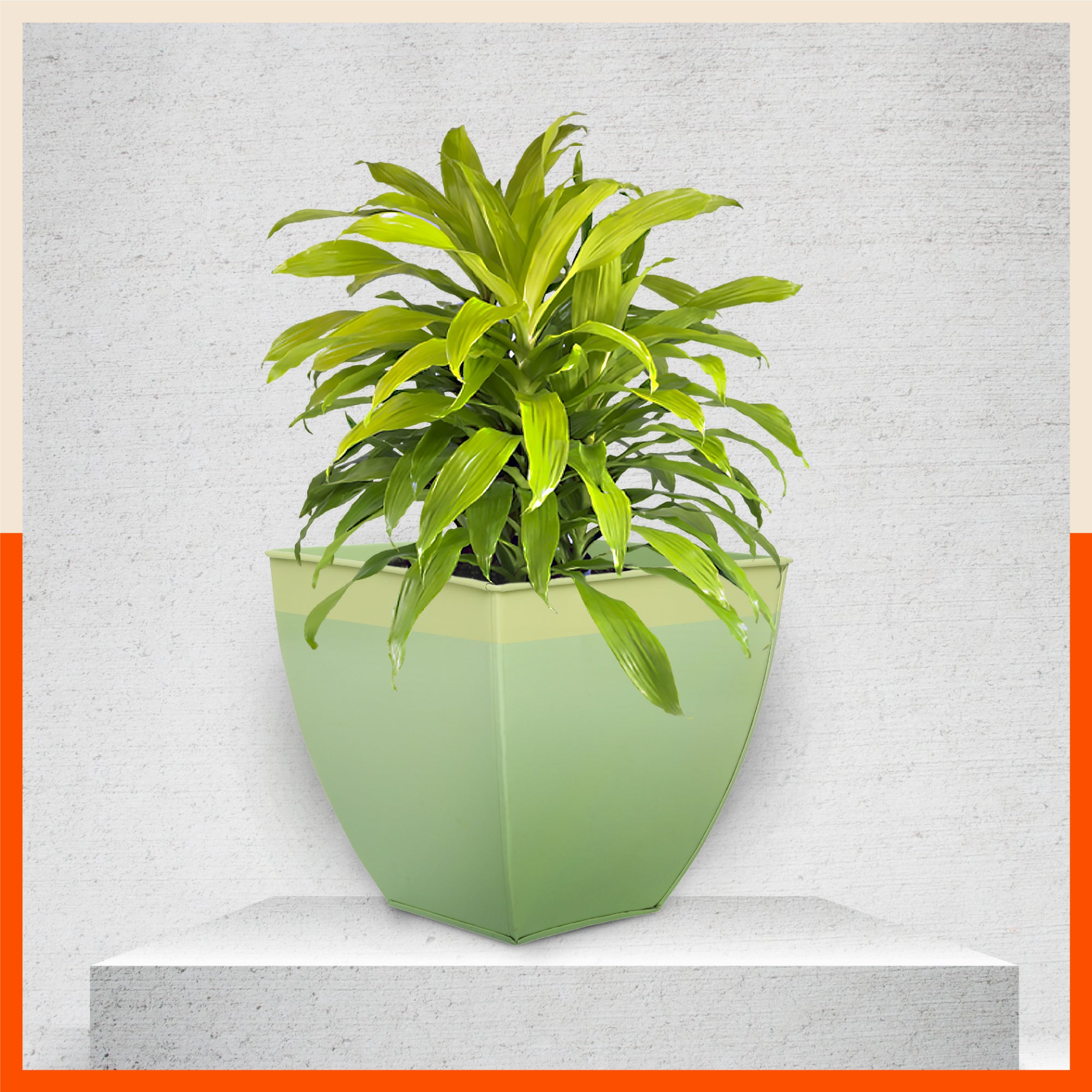 MYLA Metal Square Planters / Pots for Garden /  Balcony | Medium – Tree & Lawn