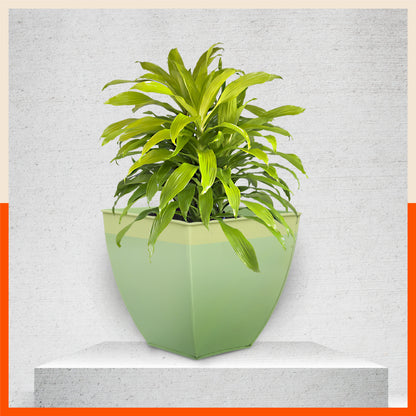 MYLA Metal Square Planters / Pots for Garden /  Balcony | Medium – Tree & Lawn