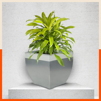MYLA Metal Square Planters / Pots for Home / Garden /  Balcony | Large – Ash Grey & White