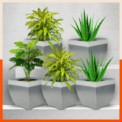 MYLA Metal Square Planters / Pots for Home / Garden /  Balcony | Large – Ash Grey & White - Set of 5