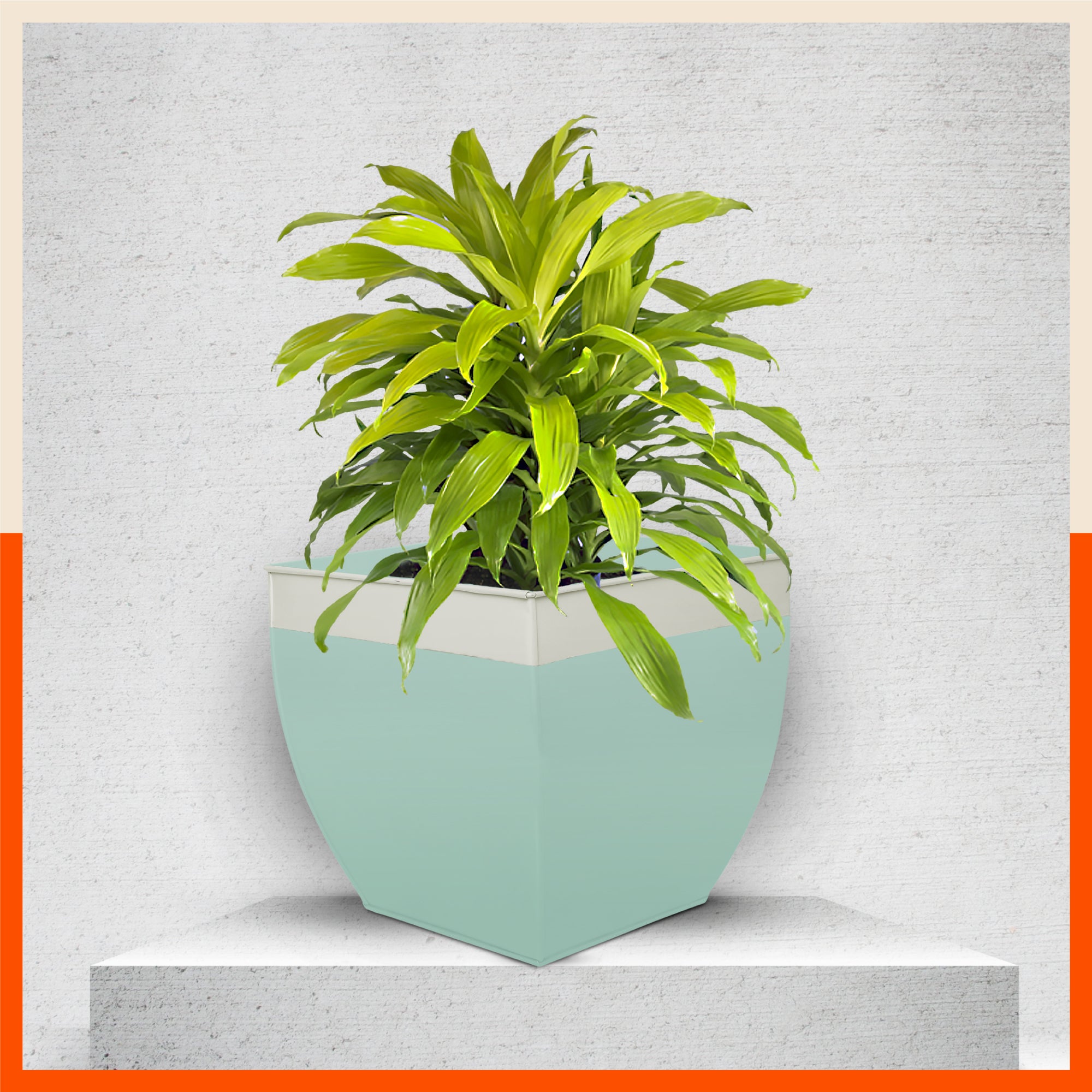 MYLA Metal Square Planters / Pots for Home / Garden /  Balcony | Large– Blue & White