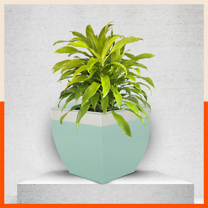 MYLA Metal Square Planters / Pots for Home / Garden /  Balcony | Large– Blue & White