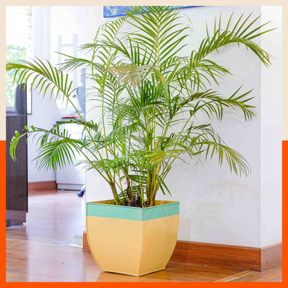 MYLA Metal Square Planters / Pots for Garden /  Balcony | Medium – Tree & Lawn