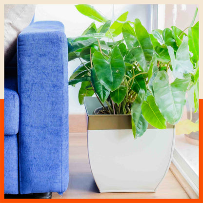 MYLA Metal Square Planters / Pots for Garden /  Balcony | Medium – White & Bronze