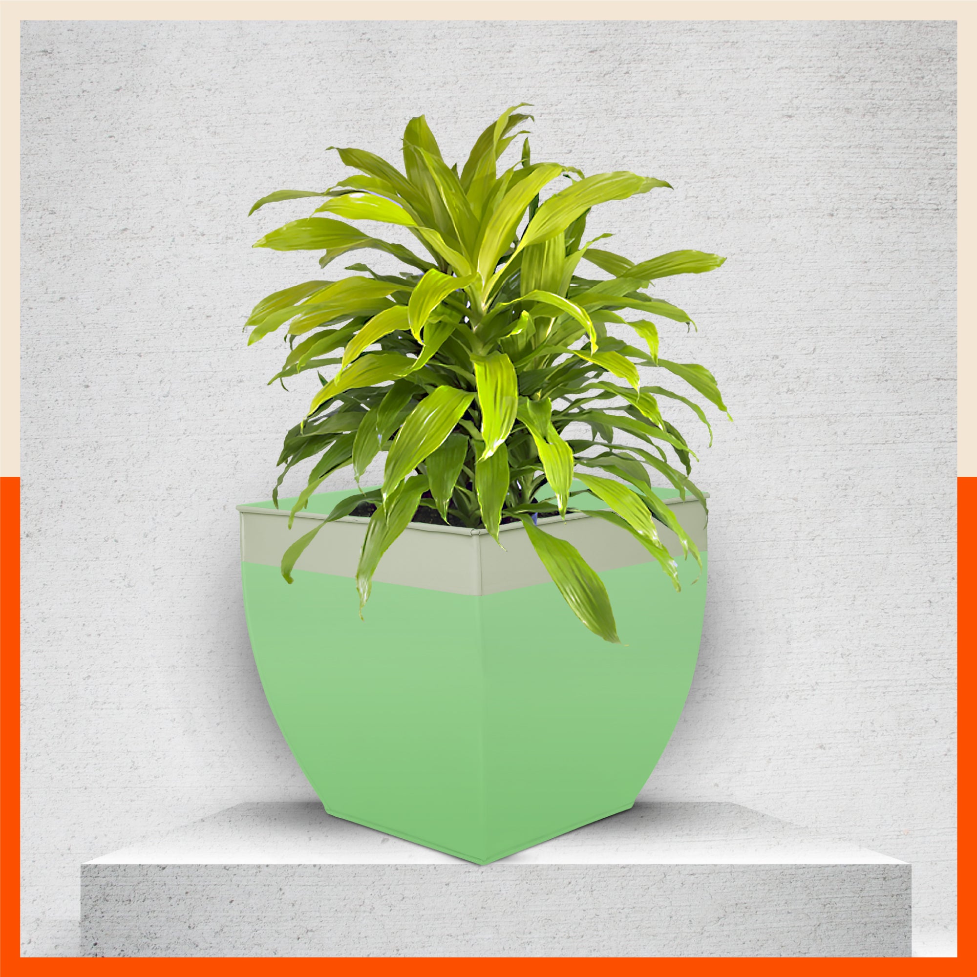 MYLA Metal Square Planters / Pots for Home / Garden /  Balcony | Large – Grass & White