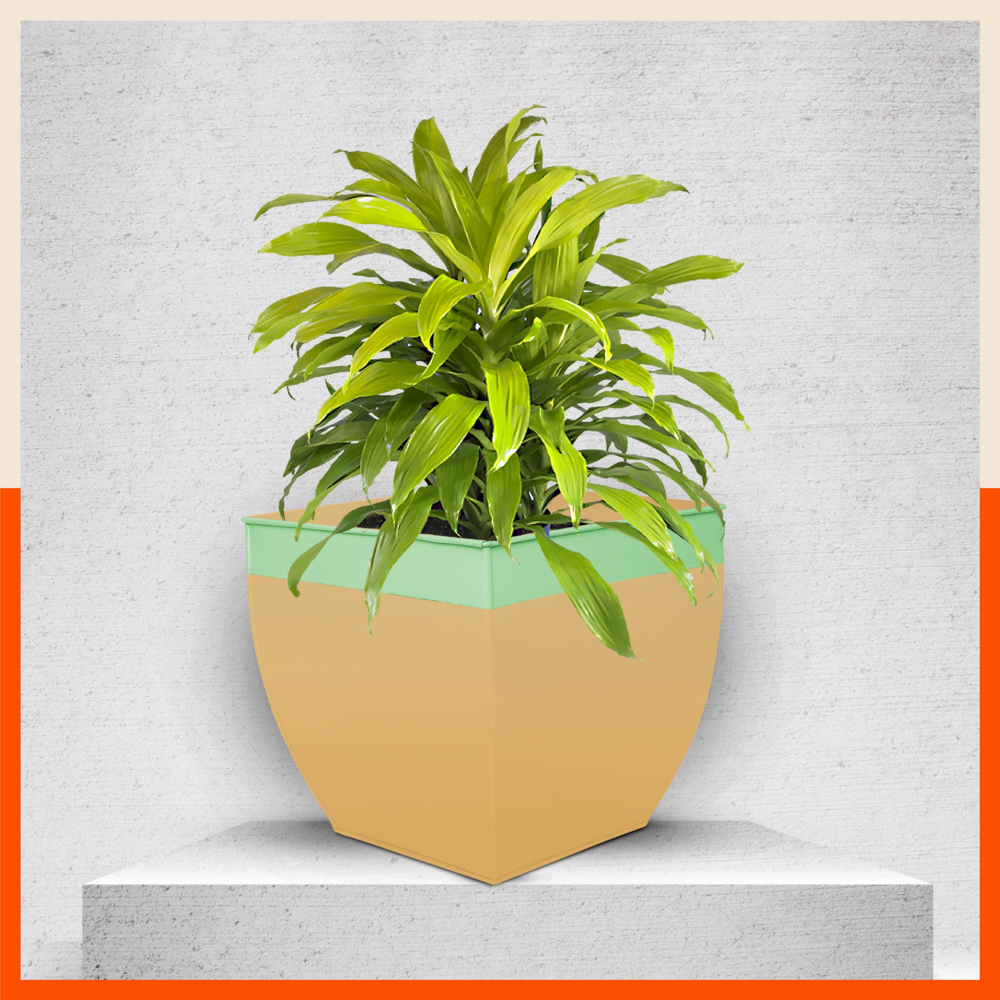MYLA Metal Square Planters / Pots for Home / Garden /  Balcony | Large – Mynt & Tea